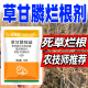 晴雨表757草甘膦铵盐除草剂烂根68%草甘膦杀狗尾草水花生控制返青 （50g*5袋）福利价