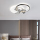 Opple Lighting 2025 Neues Schlafzimmer Lüfter Leuchte Esszimmer Deckenleuchte integrierter unsichtbarer intelligenter Schüttelkopf Einfacher Hauptraum 5012 Schwarzschüttler Kopf 50 cm Schüttelscheibe