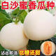 Qizhe Super Sweet White Sugar Melon Seed Super Sweet Early Melon Ripe Seed White Honey Melon Can High Yield Sweet Sugar Melon Seed Fruit All Seasons White Sugar Honey Melon Seed Trial Pack 5
