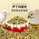 Special feed for rutin chickens, rutin chicken egg production feed, mealworm brooding feed, quail feed, high protein 10Jin Jin is equal to 0.5kg, egg production food containing mealworms, dried vegetables