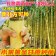 Fruit golden sugarcane seedling seeds planted in the north and south, sugarcane seedlings with buds, Guangxi yellow-skinned sugarcane seeds, 5 soft and sweet golden sugarcane seedlings, 3-4 buds each