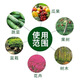 Milan urea fertilizer manufacturer direct sales fertilizer agricultural use 10-100Jin Jin equals 0.5kg, quick-acting nitrogen fertilizer for vegetables, general flowers, large granular urea (10Jin Jin equals 0.5kg subcontracted)