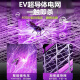 康铭4000V电蚊拍充电式大网面家用强力手柄加长伸缩折叠灭蚊灯灭蚊拍 4000V+12颗紫光+电量数显+3893