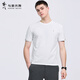 Dancing with Wolves [with mulberry silk] round neck short-sleeved T-shirt for men 2025 summer new embroidery cool breathable base short t6623 white 803 L (175)