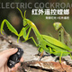 Gu Ran Can Fly Toy Bird Дистанционное управление дистанционным управлением Mantis Electric Simulation Broking Tool Boy Boy может переместить паук, ползущий маленькую классическую версию Frisbee пульт дистанционной божьей коровки красной 9922 Deluxe Version с еще 36 электроникой