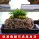 Stone flowerpot absorbent stone water stone original stone natural flowerpot with asparagus bamboo and calamus succulent plant micro landscape pot 13-17cm stone pot + tiger beard calamus package 2
