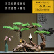 Ouoety New Chinese Zen Willkommen bei Pine Wurzelkunst Wurzel geschnitzte verwitterte Holzornamente Model Room Club Hotel Eingang TV -Schrank YM1396: Stil (voller Bild)