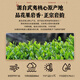 Ruishuo Tongmuguan Narcissus Rock Tea Wuyishan Oolong Tea Special Authentic Tea Small Cans Drink Itself Giving Gifts to Elders