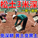 Soil loosening essence without deep plowing to improve soil hardening soil activator black water fertilizer vegetable garden plowing and loosening artifact 500g 2 bags loosening essence soil activator