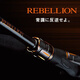 达亿瓦（DAIWA）REBELLION逆霸龙路亚竿鲈鱼竿溪流竿2节钓鱼竿 2.03m 682ML+FS