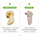 Qidan Pharmaceutical Yunnan Wenshan Gefriergetrocknet SANQI Special Quality Selection Spezielle Qualität Sanqi Vollständiger Ursprung Direktverkauf