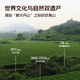 孝文家茶乌龙茶富贵花1200武夷岩茶大红袍一级249g自饮茶叶礼盒装节日送礼