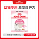 Royal Pet Cat Food Kitten Cat Food K36-Suitable for 12 months old 50g