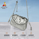 Vogelscheuche (mexikanische) Tasche für Frauen auf Sommermode und vielseitige Crossbody-Umhängetaschen Schmetterling Silber Nische Textur Wolkentasche Silber (Vorverkauf an 5,3 Tagen)