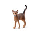
Schleich S simulation animal model cat dog boy girl children toy gift enlightenment cognition 3+ Rhodesian ridge back dog 13895