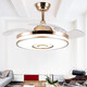 Opple Lighting Bluetooth Music Audio Deckenlüfter Leuchte Integrierte unsichtbare Lüfter Light Dining Schlafzimmer Wohnzimmer mit elektrischem Lüfter Kronleuchter 9906 Weiß 48-Zoll-Licht-Umbau-Frequenz-Fernbedienungssteuerung-6-Gang