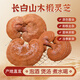 Qin Dingtai purple Ganoderma lucidum pruning Changbai Mountain Ganoderma lucidum natural red Ganoderma lucidum deep mountains basswood Linzhi soaked in wine and soup purple zhi wood linden red Ganoderma lucidum / Changbai Mountain direct hair 200 grams