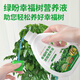 Lupan green plant happy tree special nutrient solution first aid yellow leaf fallen leaf surface liquid fertilizer fallen leaf dry hydroponics