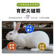 Sino-US Puke 4% rabbit premix rabbit premix baby rabbit meat rabbit fattening rabbit feed female rabbit premix veterinary 4% growth/fattening premix (40Jin Jin equals 0.5kg)