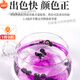 Pangdonglai Quality Black Wolfberry Extra Sulfur-free Ningxia Wild I Raw Black Wolfberry Blood Soaked Water Big Fruit Soaked Wine Soup Soup [Excellent Value Pack] *2 cans total 500.2 grams