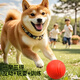 Zanpet dog toy ball, bite-resistant and molar-resistant elastic ball, Teddy self-pleasure and boredom relief, solid rubber ball for pet training