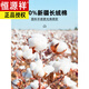 恒源祥纯棉免烫白衬衫男商务休闲2025秋款轻奢正装 长袖6622蓝条(纯棉免烫) 38