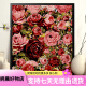 林谷家落日玫瑰数字油画diy花卉填色涂鸦手工手绘diy油彩画卧室装饰画 A H1048 30*40实木内框+丙烯颜料+画笔