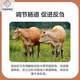 Zhengda Huadong 4 beef cattle premixed calf fattening cattle feed rapid fattening and weight gain without pulling the frame