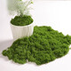 Runhuanian imitation moss landscaping fake moss yarn turf green plants micro landscape plant decoration artificial bionic lawn paving filamentous moss light green 50g can be paved 30*60cm