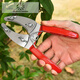 Fruit tree ring grafting shears, girdling shears, girdling shears, girdling shears, grape girdle girdling shears, fruit tree durable yellow girdling shears (no serrations)