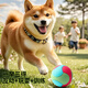 Zanpet Spliced Elastic Ball Dog Supplies Teething Toy Ball Pet Ball Bite-proof Self-Enjoyment Relief Boredom Training Interactive