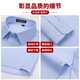 Playboy (Playboy) High-End Striped Shirt Herren-langärmelige, nicht amerikanische Bambusfasergeschäft formelle Kleidung professionelle Arbeitskleidung kurzärmelig 2303D5009 (Taschenless kurzärmelig) 38