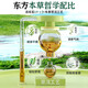Fuyanjie Materia Medica Essence Antibactérien Lotion 688ml Plant Materia Femelle Gynecological Daily Care Lotion Antibactérien et démangeaison Lotion 688 ml + Irrigator