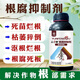 Yunfeng Harvest Genuine Root Rot Inhibitor, Root Rot Nemesis, Damping Down Dead Trees, Rotten Roots, Root Rot, Strong Roots, Purification of Soil, Popular 12 Bottles*1000g+1 Measuring Cup