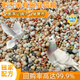 New pigeon food 20 Jin Jin is equal to 0.5 kg. Corn-free pigeon food with corn pigeon feed racing nutrition pigeon food for adult and young pigeons 5 Jin Jin is equal to 0.5 kg. No corn pigeon food with peas 20 Jin Jin is equal to 0.5 kg.
