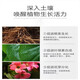 Yuntianhua Phosphate Fertilizer Flower Superphosphate Flower Fertilizer Vegetable Fertilizer Root-Strengthening Fertilizer Soil Fertilizer Chemical Fertilizer Vegetable Agricultural Fertilizer The whole bag of 100Jin Jin is equal to 0.5kg. Originally issued