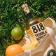 詹娜818金/银/陈酿龙舌兰酒TEQUILA肯达尔詹娜肯豆墨西哥进口洋酒 818金龙舌兰礼盒装