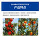 Guoguang Beineng 1% sodium p-chlorophenoxyacetate citrus fresh-keeping tomato lychee and bayberry growth regulator 200ml*5 bottles