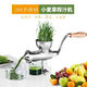 Maizhiduo 304 stainless steel wheat grass manual juicer household hand-cranked fruit and vegetable celery ginger pomegranate juice squeezer suction cup juicer