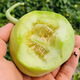 Nongzhi R Ben Tianbao melon seeds honeydew melon Nongzhi Fuji Tianbao melon seeds 2g 2 bags