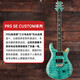 PRS se custom24 电吉他SE Custom STANDARD24 CH44 ST24 22/24品电 C844PBCJ-炭黑星空【2025限量】