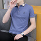Pang Donglai DL [Empfohlen von Central Mother] Das gleiche Revers-Polo-Hemd für den einfachen T-Shirt von Herren im einfachen Style Cotton Cotton mit einem Ausschnitt 679 weiße M _100-120jin [Jin gleich 0,5 kg]