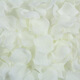 Zi Jiafu Simulierte Rosenblätter Vorschläge und Hochzeitssimulationsblätter Hochzeitsrequisiten Hochzeitsraum Dekoration Layout gefälschte Rosenblätter schwarz [1000pcs/Paket] Verpackung