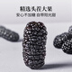 方家铺子桑葚干500g/瓶 六星桑椹干大果均≥2cm黑桑葚子泡水枸杞泡酒药材