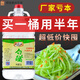 白醋食用大桶装山西特产去污清洁泡脚洗脸商用农用农作物正宗 4.5度白醋5升/10斤【686】