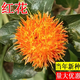 Xiaochunfeng Chinese herbal medicine safflower seeds saffron seeds Xinjiang grass saffron seeds genuine pure new field planting seeds safflower seeds 5Jin Jin equal to 0.5 kg