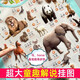 Lelefish dreidimensionale Erkennung von Tieranrufen, Hängediagramm, Frühschulbildung, Audio-Lesung, Baby, Kinderaufklärung, kognitive Aussprache, Spielzeug, One Front Animal + Reverse Ocean