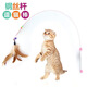 New cat toys, cat sticks, long rods, feathers with bells, cat toys, pet cat sticks to relieve bored cats, 1 replacement head