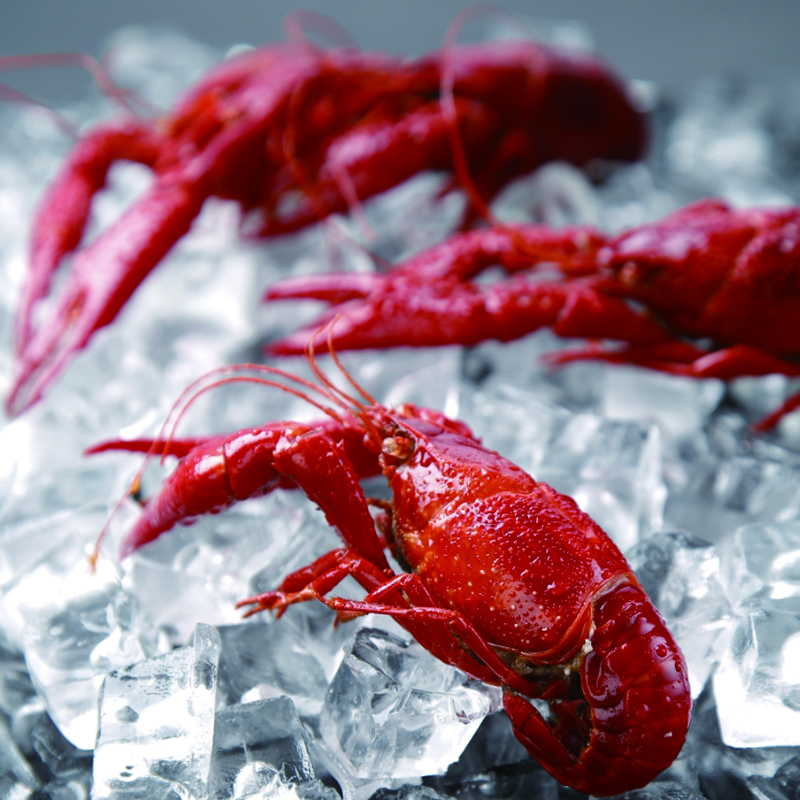 Fresh Jingcai Spicy Crayfish 618g (500g clean shrimp) Large size 6-8 yuan/piece 14-16 pieces Heat and eat