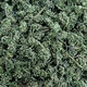 Zutaten für die Verwendung im inneren Hof, Yunnan Wenshan Authentic Sanqihua New Flower mit Griff Yuanduotian Qihua vier Jahre authentischer Tee Sanqihua Tee. Kaufen Sie eine und erhalten Sie insgesamt 2 Barrel, 500 Gramm. Kostenlose Tasche